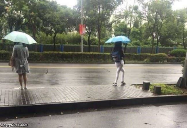 Just Waiting For The Bus