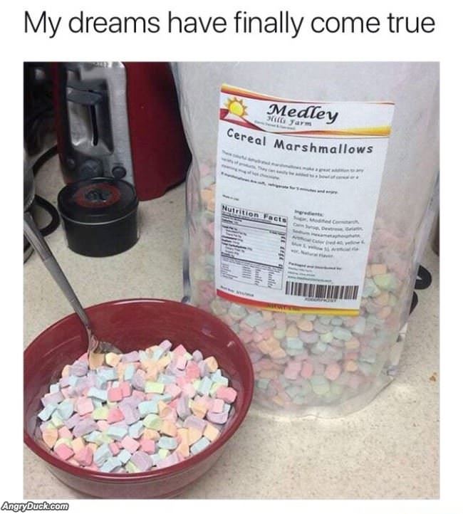 My Dreams Have Come True
