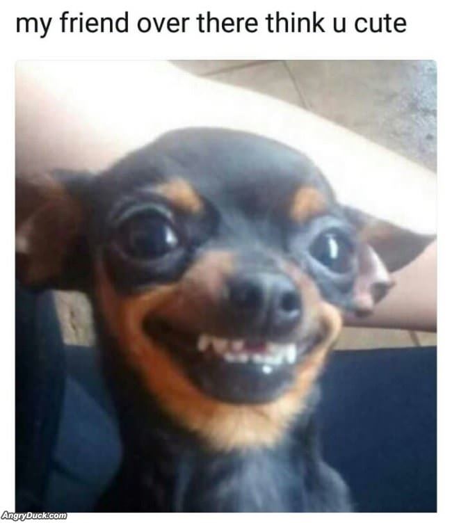 My Friend Thinks You Are Cute