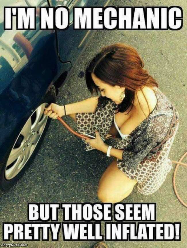 No Mechanic