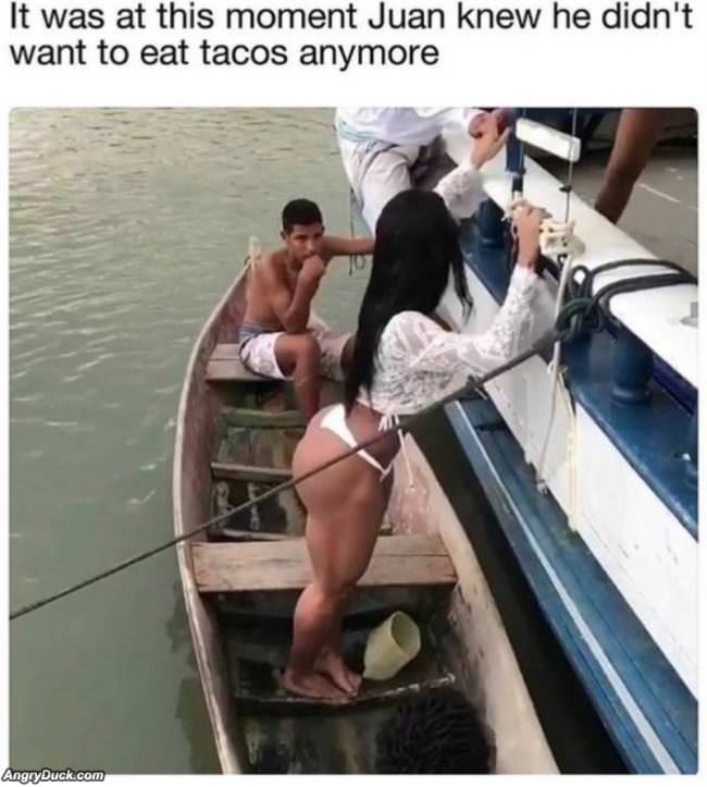 No More Tacos