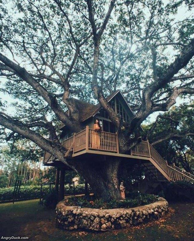 Really Awesome Tree House