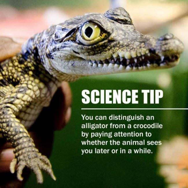Science Tip