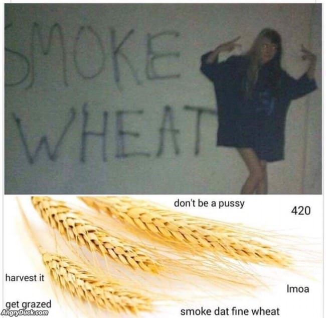 Smoke Wheat