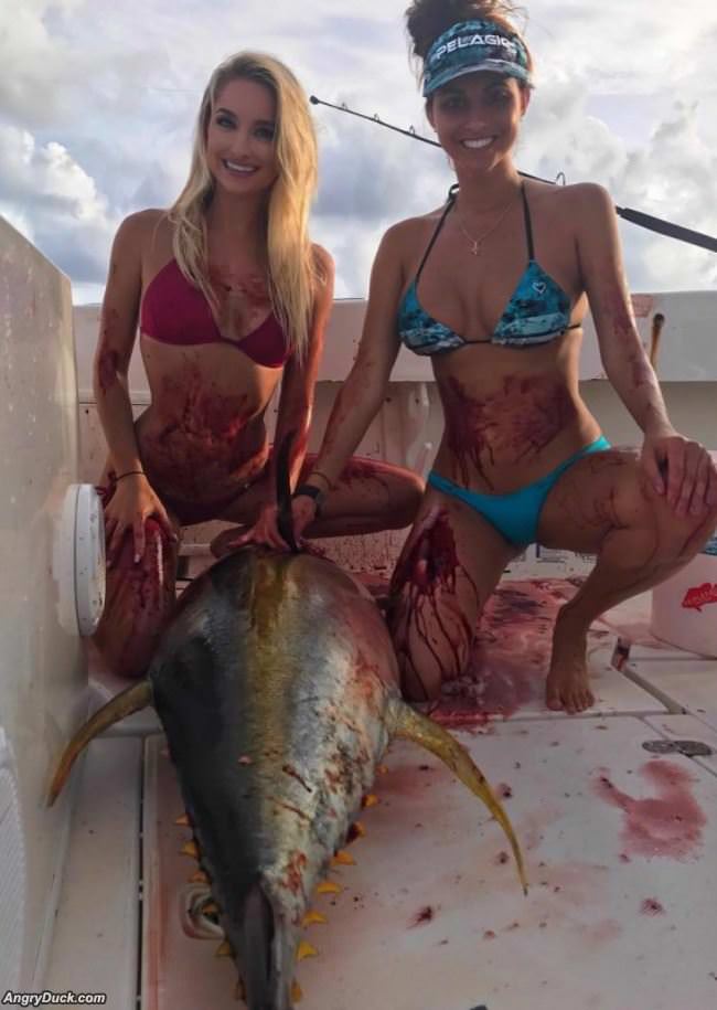 Some Serious Fishing