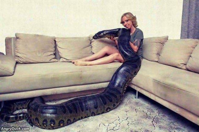 That Is A Big Snake