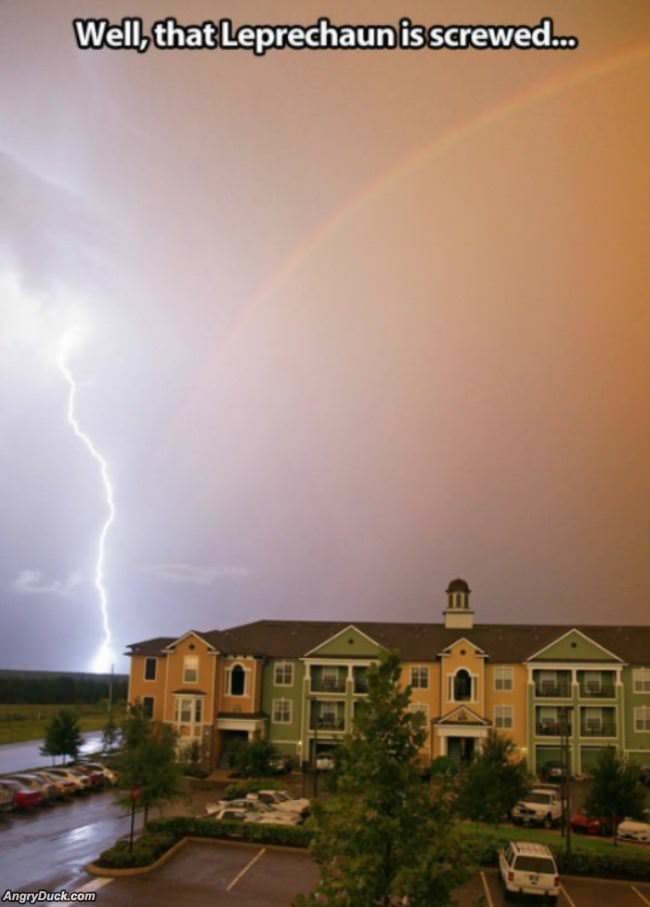 That Leprechaun Is Screwed