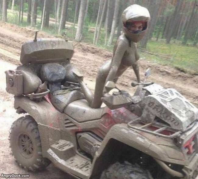 The Mud