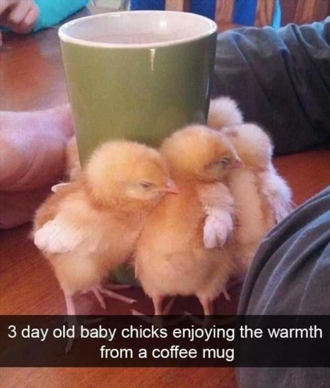 This Coffee Is So Nice And Warm
