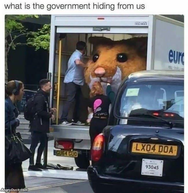 What Are They Hiding From Us