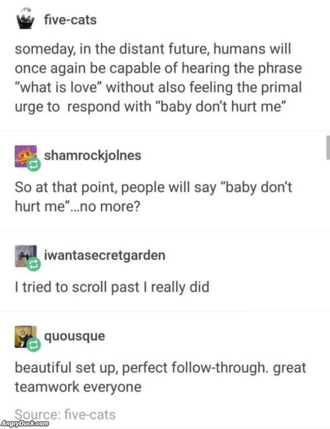 What Is Love