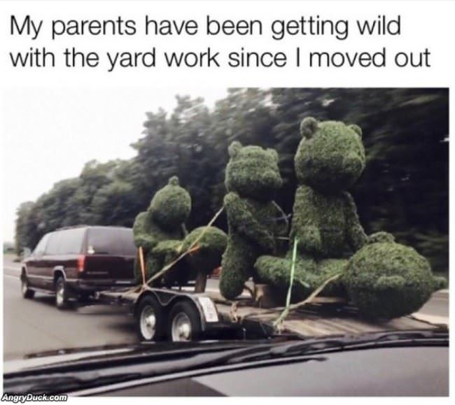 Wild Yard Work