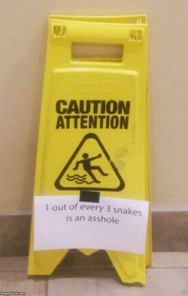 1 Out Of Every 3 Snakes