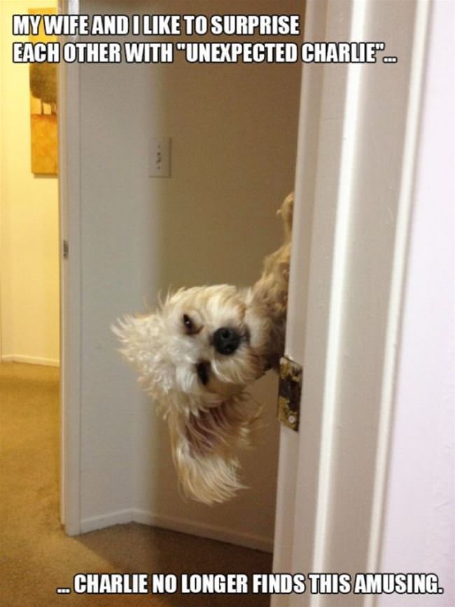A Surprise Charlie
