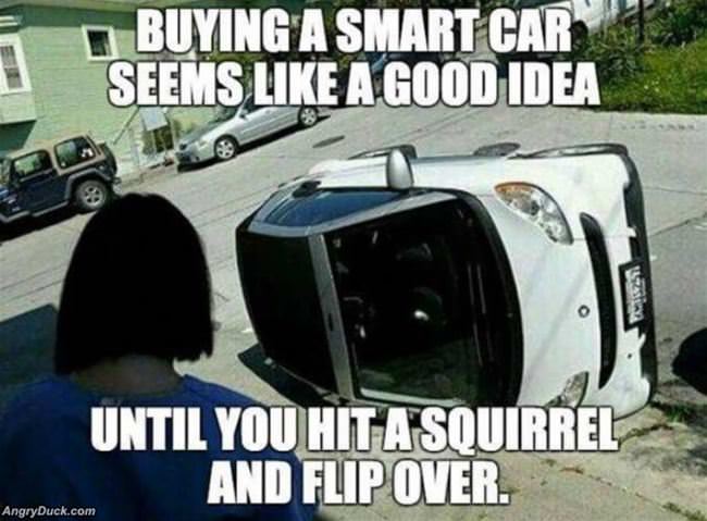 Buying A Smart Car