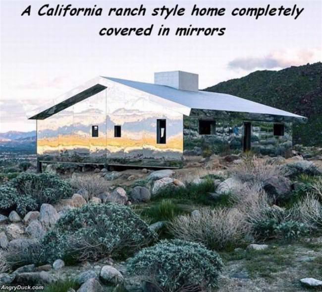 California Mirror Ranch