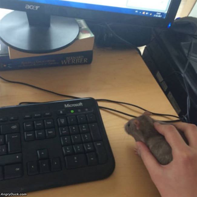 Gaming Mouse