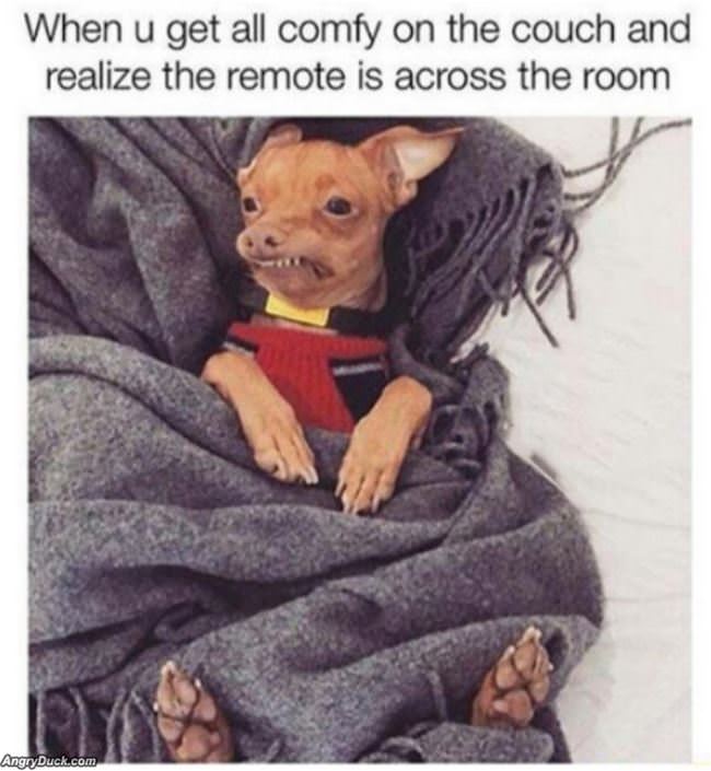 Get All Comfy And Then