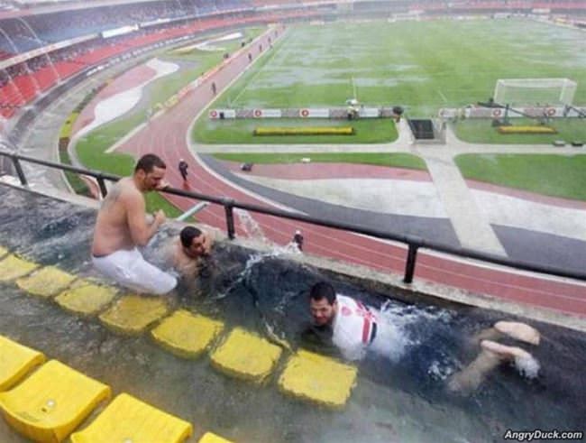 Good Day For A Swim