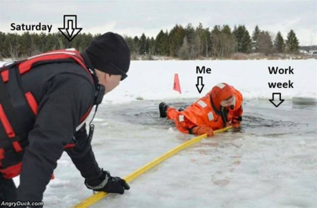 How The Work Week Goes