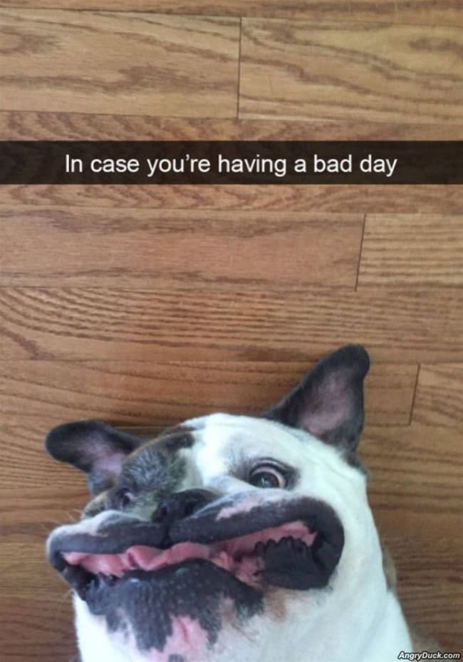 In Case Your Having A Bad Day