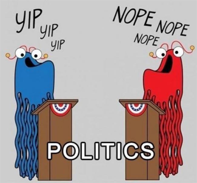 Politics In A Nutshell