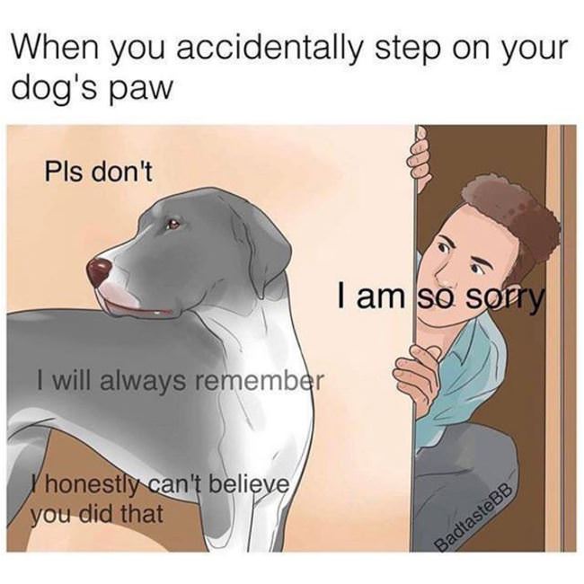 Stepping On Your Dogs Paw
