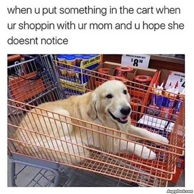 Surprising Your Mom