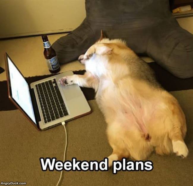 Weekend Plans