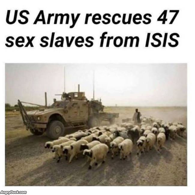 A Huge Rescue