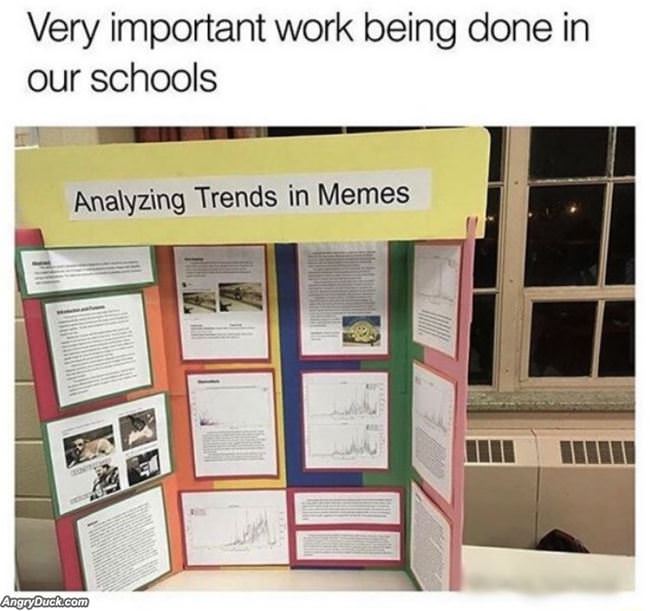 Analyzing Trends In Memes