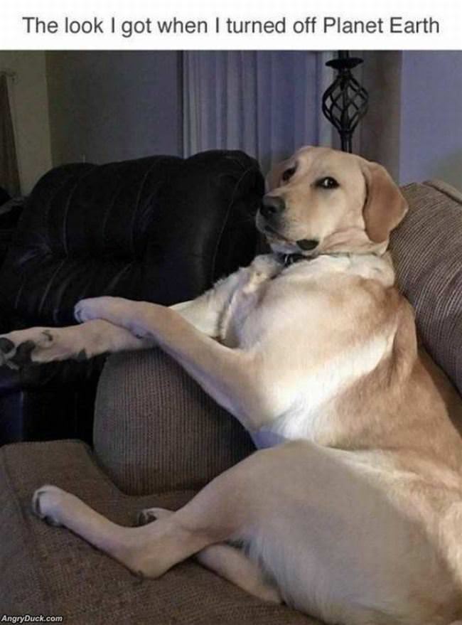 Do Not Turn That Off