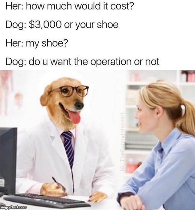 Do You Want The Operation