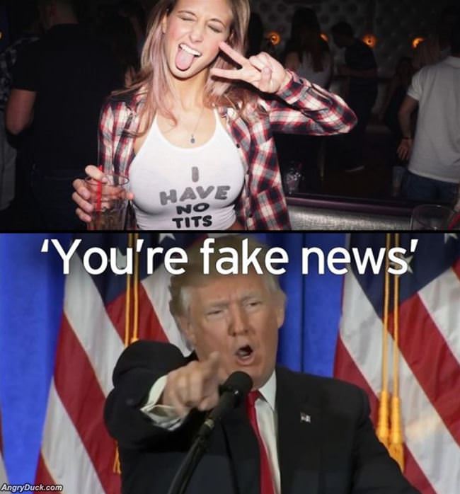 Fake News