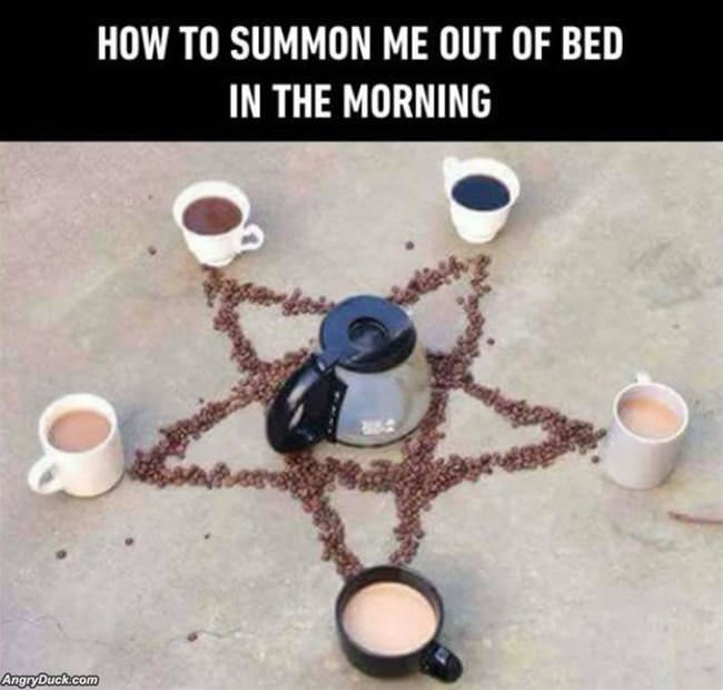 How To Get Me Out Of Bed