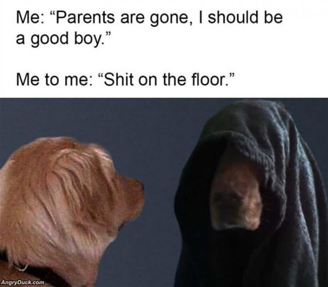 I Should Be A Good Boy