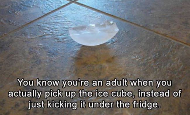 Know You Are An Adult