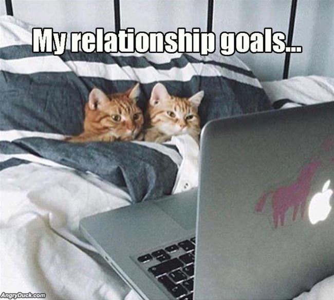 My Relationship Goals