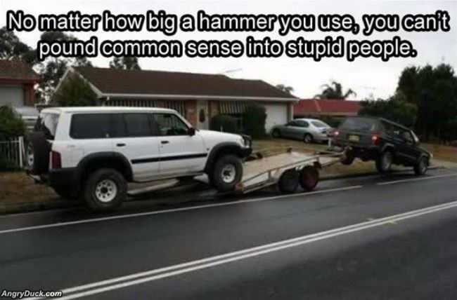No Matter How Much You Try