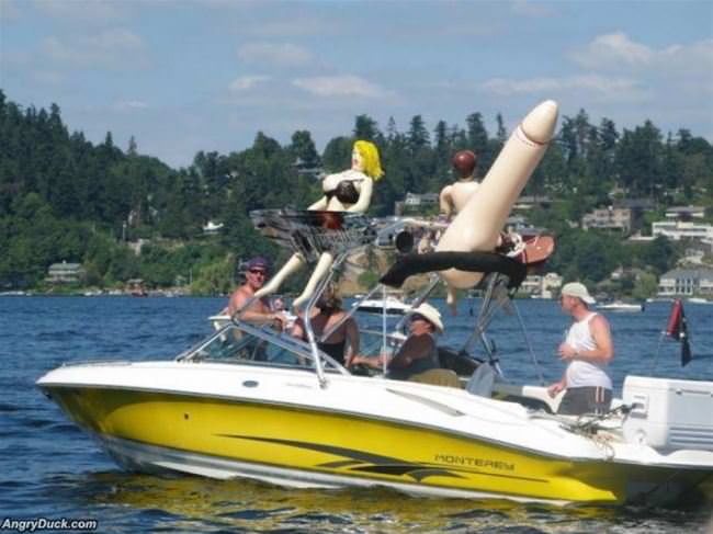 Picked Up Lots Of Chicks