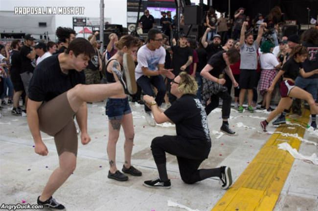 Proposal In A Mosh Pit