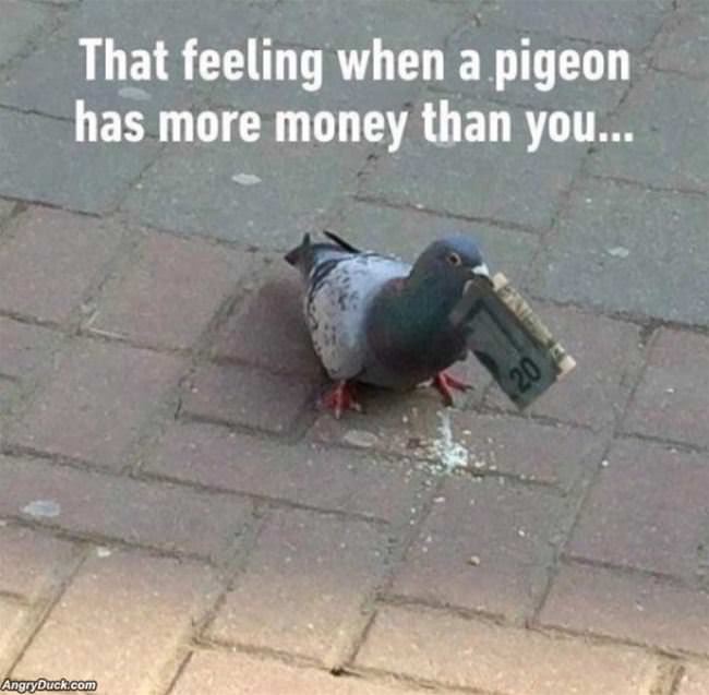 That Feeling When