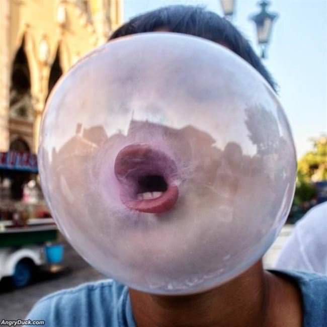 That Is An Amazing Bubble