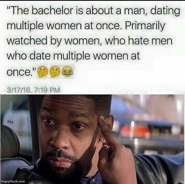 The Bachelor