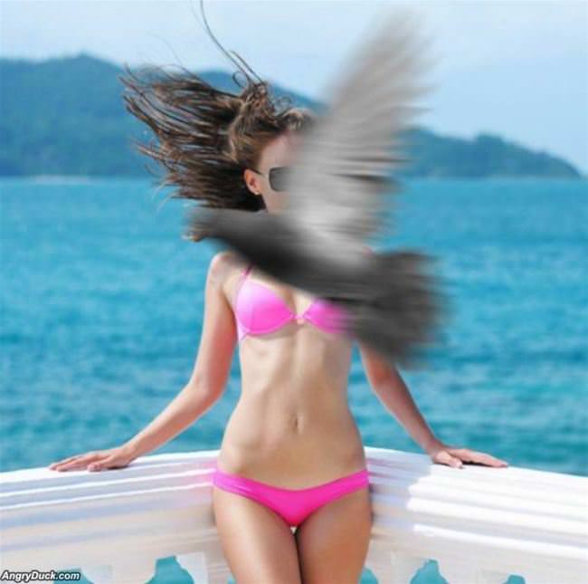 The Birdy Photobomb
