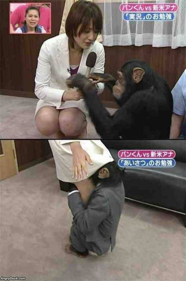 This Money Is Not Messing Around