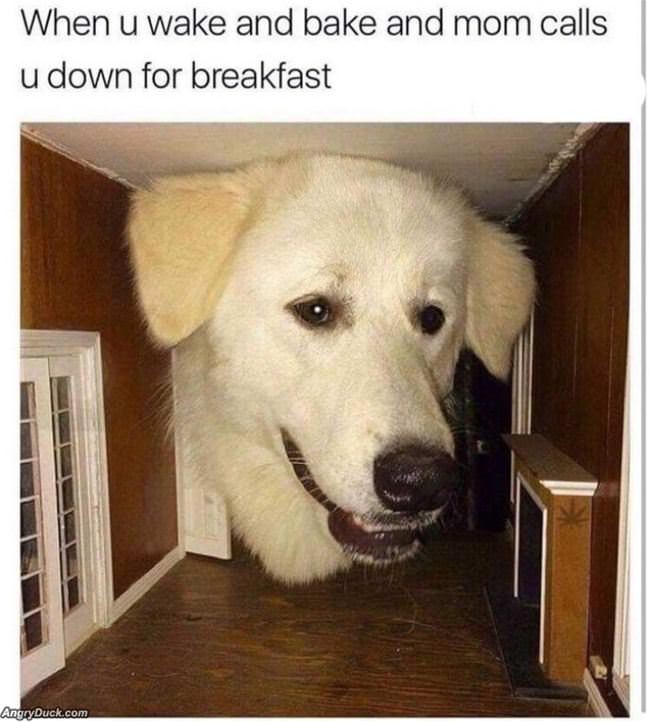 Wake N Bake