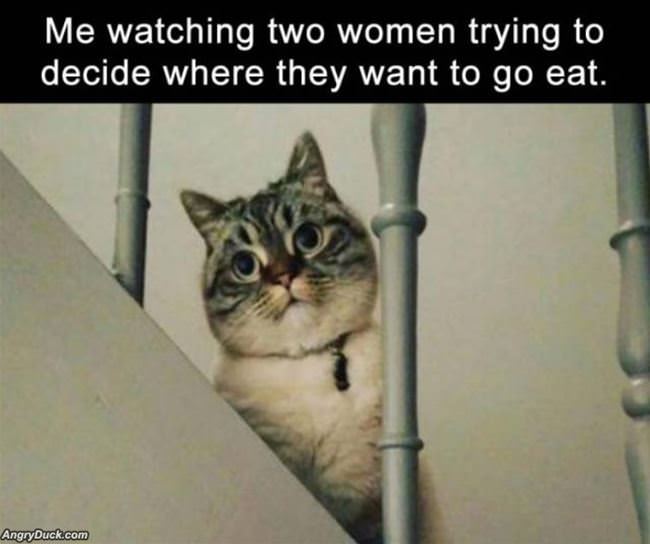 Watching 2 Women Decide