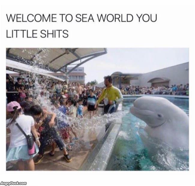 Welcome To Sea World