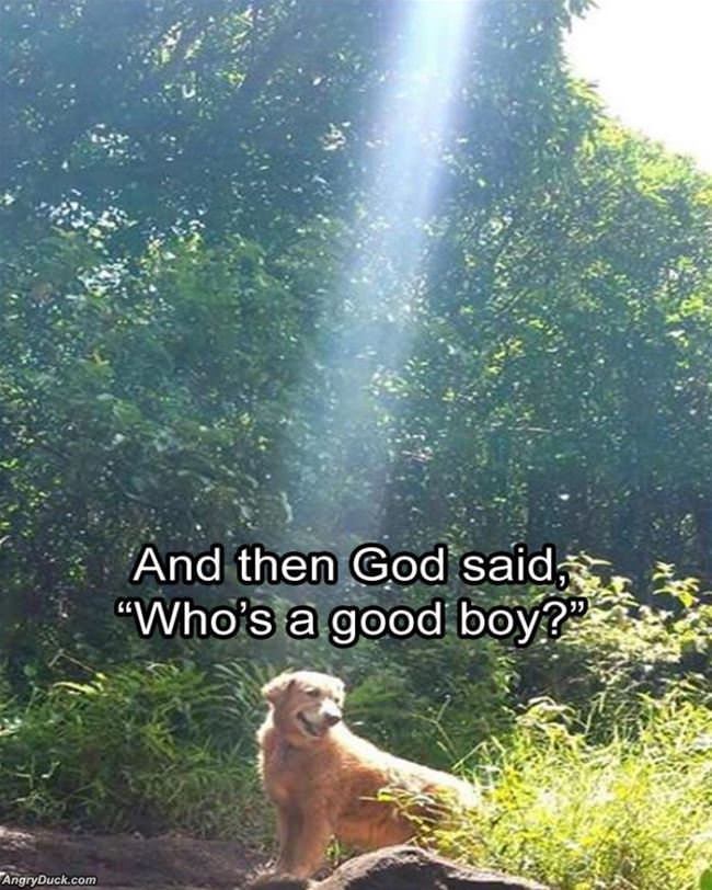 Who Is A Good Boy